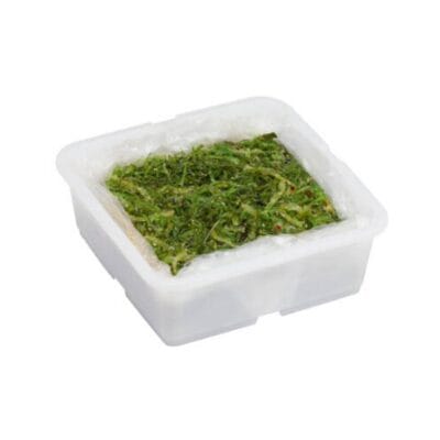 Ensalada de Wakame 2k (congelado)